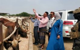 نيابة الصناعة بعدن تتلف ٤٨٥ كيس دقيق فاسد بتحويله إلى أعلاف للمواشي