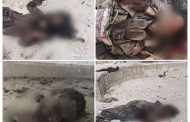 4 قتلى من أفراد قوات اللواء الاول دعم وإسناد في هجوم ارهابي بالمحفد أبين