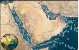 تحذيرات من تصاعد التشويش الإلكتروني على أنظمة الملاحة في البحر الأحمر والخليج العربي