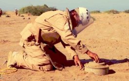 مسام تعلن تفكيك أكثر من 800 لغم حوثي خلال الأسبوع الثاني من أكتوبر الجاري