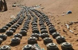 “أونمها” توثق مقتل وإصابة 9 مدنيين بانفجارات ألغام بالحديدة