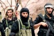 قراءة تحليلية في عودة عناصر القاعدة وداعش في المحافظات المحررة..
