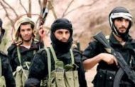 قراءة تحليلية في عودة عناصر القاعدة وداعش في المحافظات المحررة..