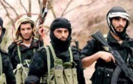 قراءة تحليلية في عودة عناصر القاعدة وداعش في المحافظات المحررة..