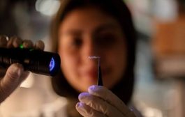 ابتكار من أبوظبي قد يغير مستقبل علاج الدماغ