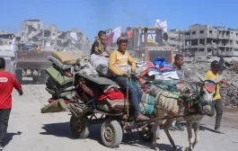 جدعون ليفي: صياح ديك في غزة أصدق إنباءً من كل خطب النصر الإسرائيلية