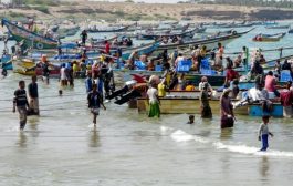 التهريب ينعكس كارثة على موسم الحبّار في اليمن