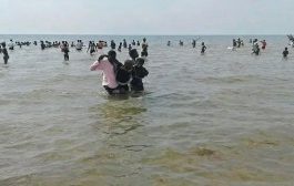 وصول أكثر من مائتان مهاجرًا غير شرعي من القرن الإفريقي إلى سواحل شبوة