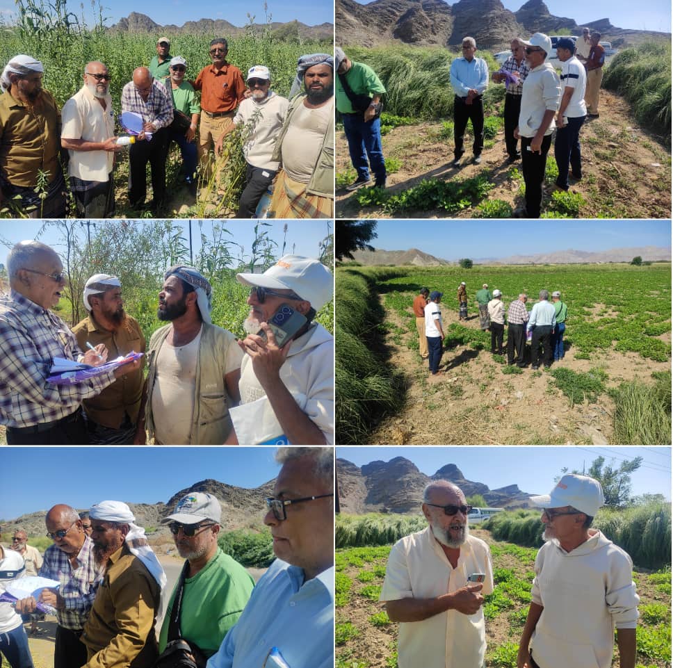 فريق متخصص من محطة البحوث الزراعية بالكود ينفذ زيارة ميدانية الى بعض مناطق دلتا أبين