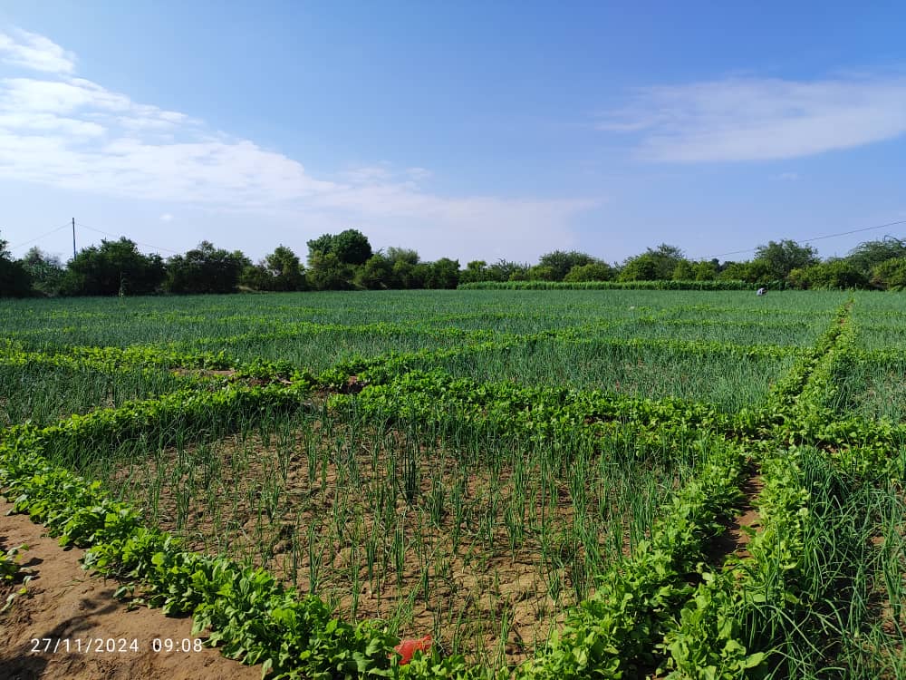 وادي خير بلحج او 