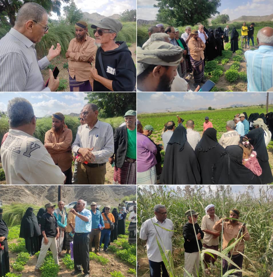 أبين : نزول الباحثين إلى حقول المزارعين في منطقتي المخزن والحصن