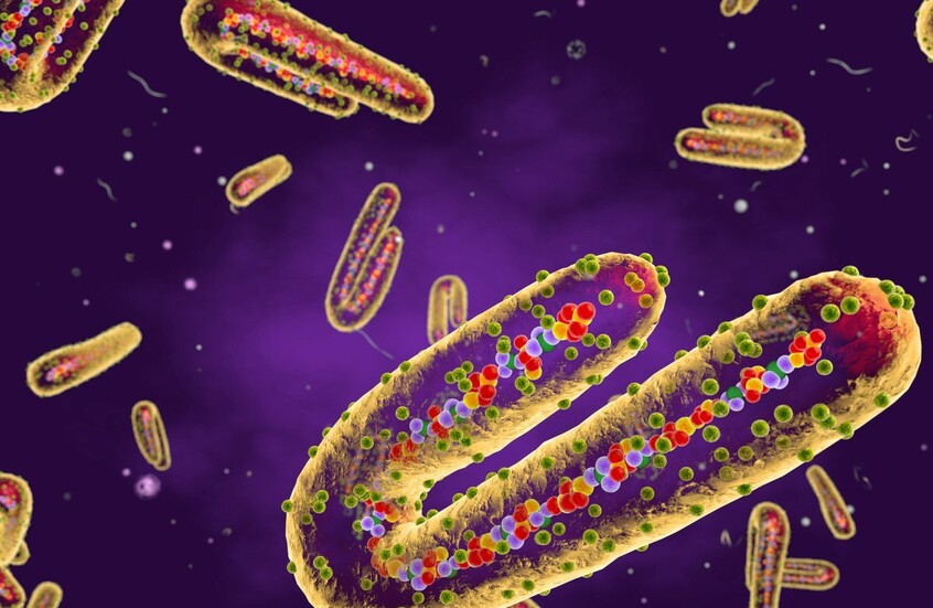 إثيوبيا تعلن تفشي وباء 